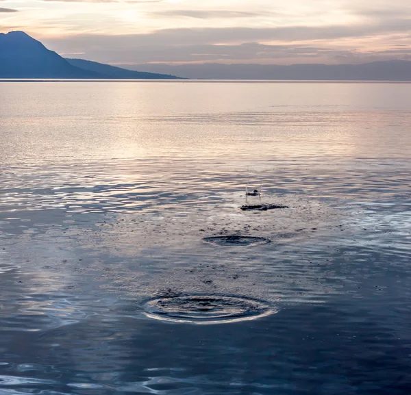 Puesta de sol detrás del lago Ginebra — Foto de Stock