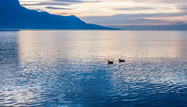 Υπέροχη θέα στο ηλιοβασίλεμα στη λίμνη της Γενεύης — Φωτογραφία Αρχείου