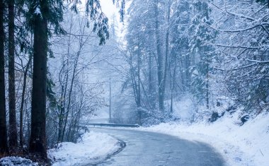Kış ormanında yol