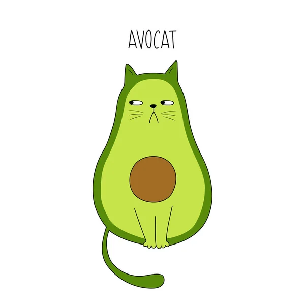 Divertido Aguacate Para Gatos Acocat Ilustración Vectorial Aguacate Dibujos Animados — Archivo Imágenes Vectoriales