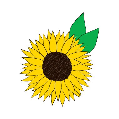  Ayçiçeği. Düz bir şekilde vektör illüstrasyonu. Beyaz arkaplandaki izole nesneler. Posterler, tişörtler, kartpostallar için iyidir..