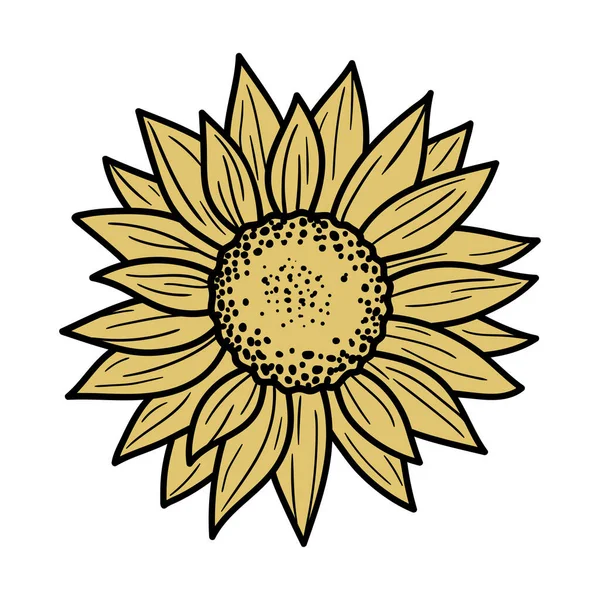 Sonnenblume Vektor Illustration Isoliert Auf Weißem Hintergrund Gut Für Poster — Stockvektor