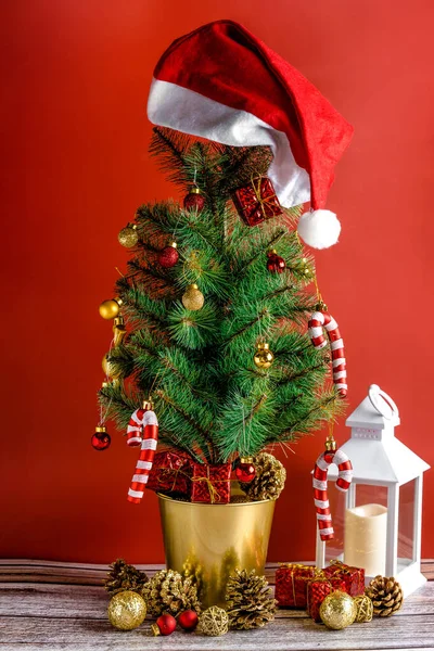 Karácsonyfa Sapkával Tetején Fehér Lámpa Piros Háttér — Stock Fotó
