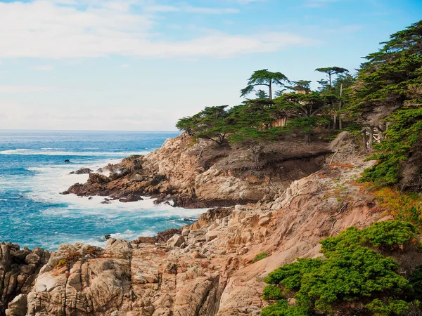 Vista Pitoresca Oceano Perto Cipreste Solitária Califórnia Eua — Fotografia de Stock