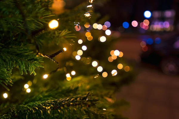 크리스마스 배경은 흐리고 밤에는 크리스마스 트리에 집니다 — 스톡 사진