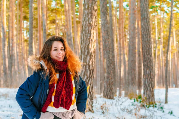 Portrait of a young woman in a sweater on the background of a snowy landscape in a winter pine forest