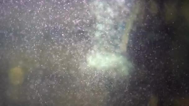 Bulles Bouillonnantes Dans Aquarium — Video