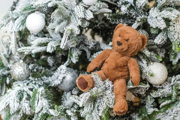 一只玩具熊坐在圣诞室内的风景上 — 图库照片