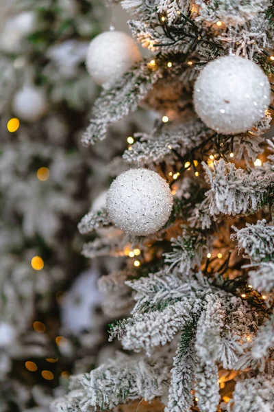 Julgran Furu Inredning Presenterar Nytt Hem Vinter Intrerier — Stockfoto