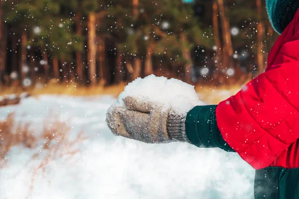 冬の子供の手は冬の森で雪を保持します — ストック写真