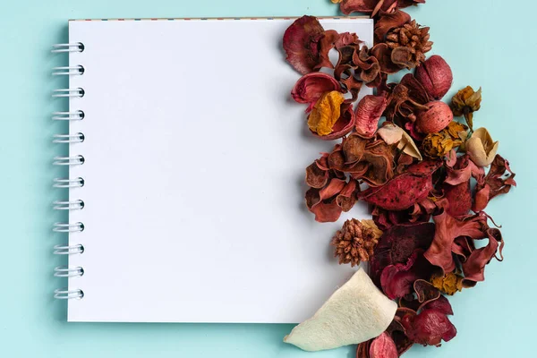 Creative Layout Red Dried Flower Canals White Paper Note Card — Stock fotografie