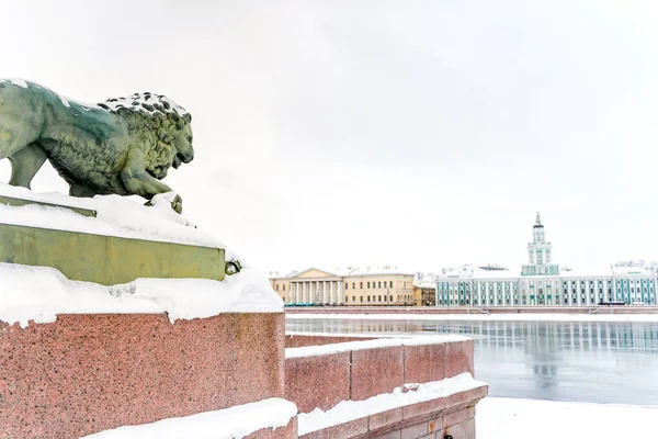 Hiver Pétersbourg Lion Bronze Sur Talus — Photo