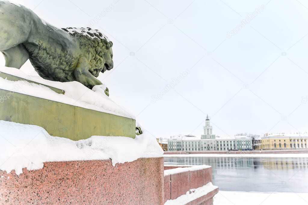 Winter Petersburg, bronze lion on the embankment