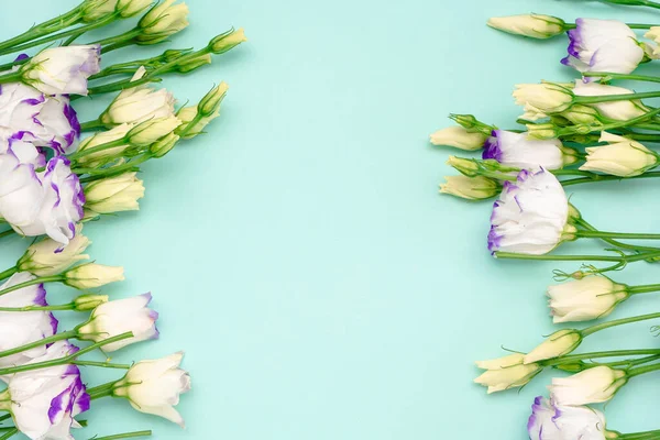 春の花のバナーの背景 茂みのバラの青い背景にフレーム トップ表示 — ストック写真