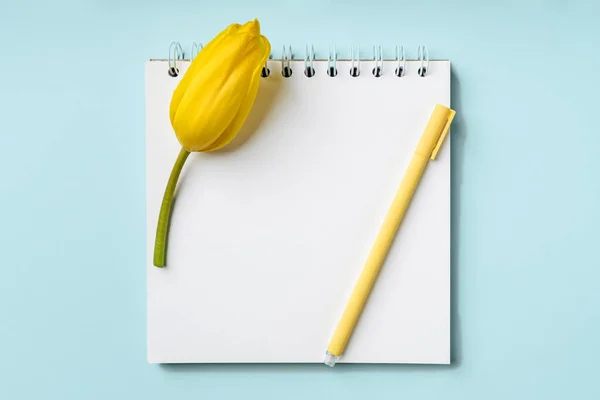 An empty notepad for writing and yellow tulips on a blue background. Spring composition with flowers