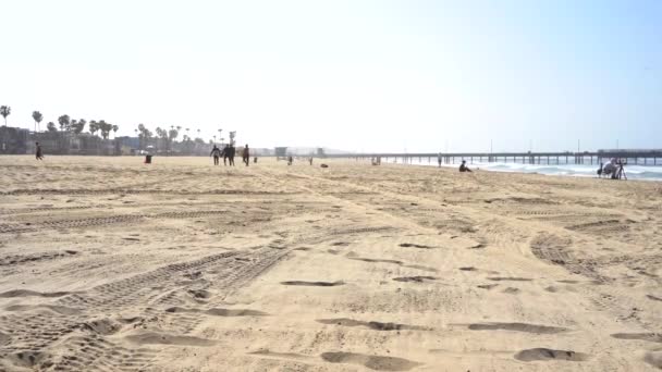 Linea Spiaggia Vicino All Oceano Mattina Presto Los Angeles Usa — Video Stock