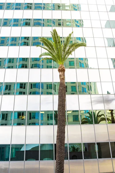 Palme Grattacielo Vetro Nel Centro Los Angeles — Foto Stock