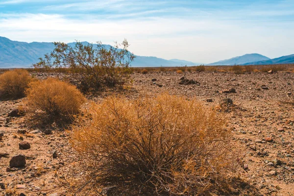 Hermoso Paisaje Panorámico Con Montañas Desierto Death Valley —  Fotos de Stock