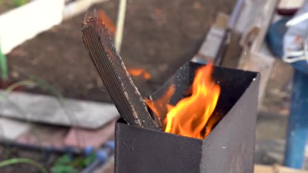 Videó Tűz Grillben Utcán Fadarab Leég Szelektív Fókusz — Stock videók