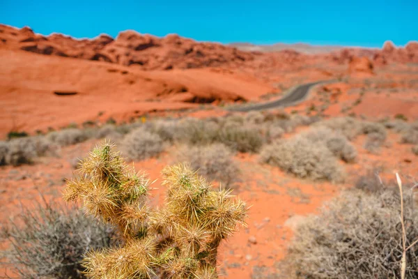 Parc National Vallée Feu Dans Nevada Paysage Étonnant Orange Pierres — Photo