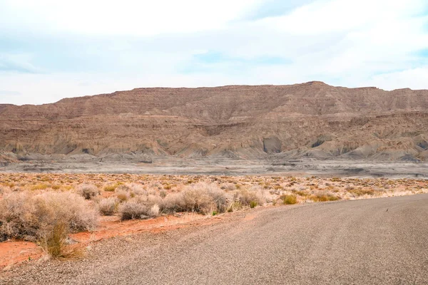 Beautiful landscape with road and rocky landscape in Utah, view in Alstrom Point, USA