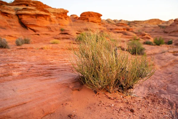 Red Sandstone Rocks Canyon Page Arizona — Stock Photo, Image