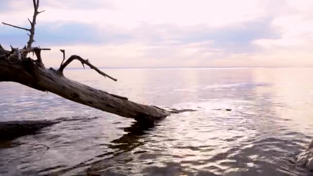 Vidéo Coucher Soleil Calme Sur Rivière Fond Naturel Mise Point — Video