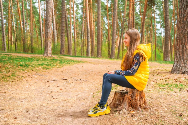 Mała Dziewczynka Siedzi Pniu Drzewa Lesie — Zdjęcie stockowe