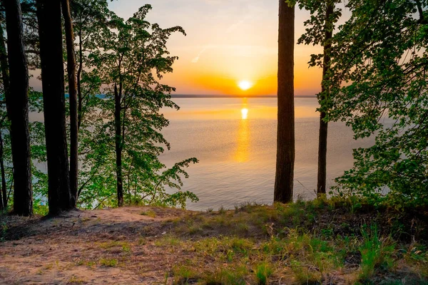 Sonnenuntergang Meer Umrahmt Von Bäumen Schöne Landschaft — Stockfoto