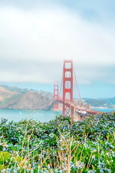 Puente Golden Gate Desde Colina Soleado Día Verano Vista Postal —  Fotos de Stock