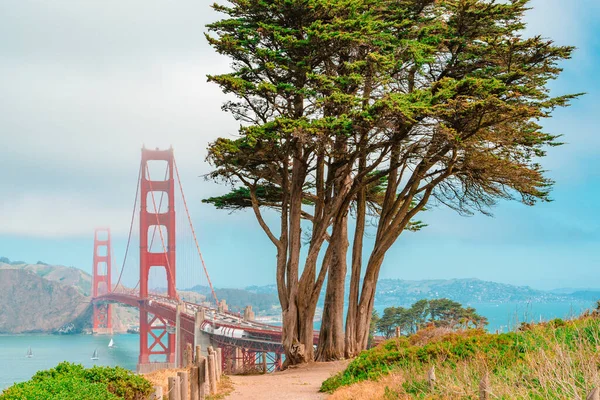 Puente Golden Gate Desde Colina Soleado Día Verano Vista Postal —  Fotos de Stock