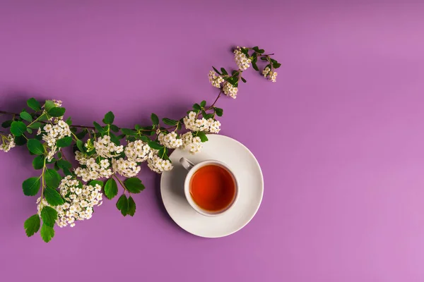 Composição Primavera Floral Uma Caneca Chá Fundo Roxo Vista Superior — Fotografia de Stock