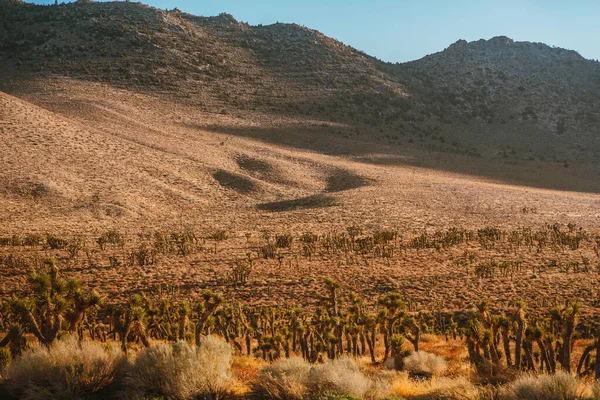 Beau Paysage Vallonné Californie Coucher Soleil Route Dans Les Montagnes — Photo