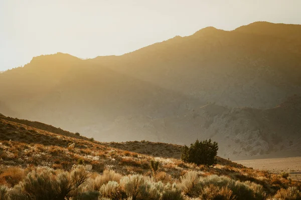 캘리포니아의 아름다운 구릉지 — 스톡 사진