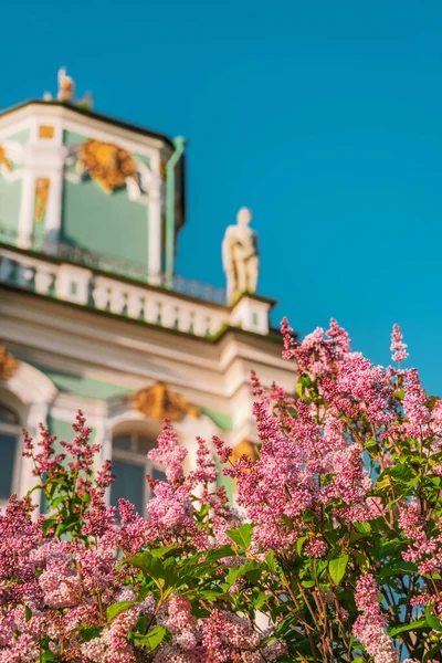Здание Зимнего Дворца Сфотографированное Летом Через Цветущие Сирени Санкт Петербург — стоковое фото