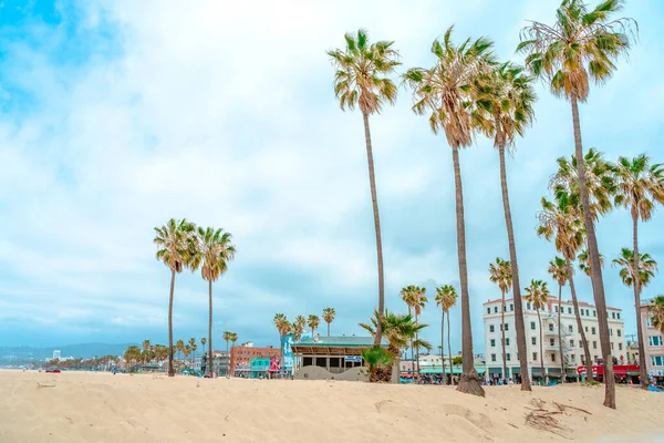 Palmen Mit Blauem Himmel Venezianischen Strand Los Angeles — Stockfoto