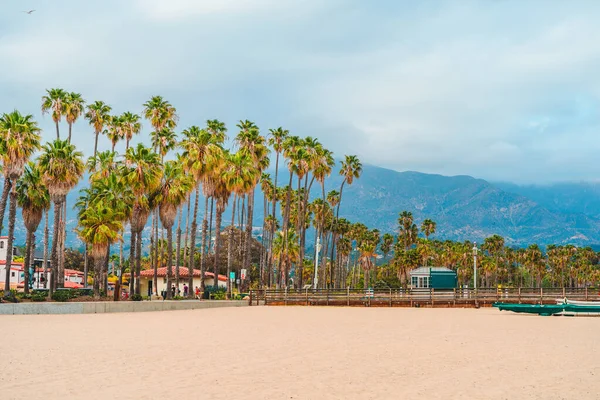 Kıyıdaki Palmiye Ağaçları Santa Barbara Kaliforniya Daki Bir Rıhtımdan Çekilmiş — Stok fotoğraf