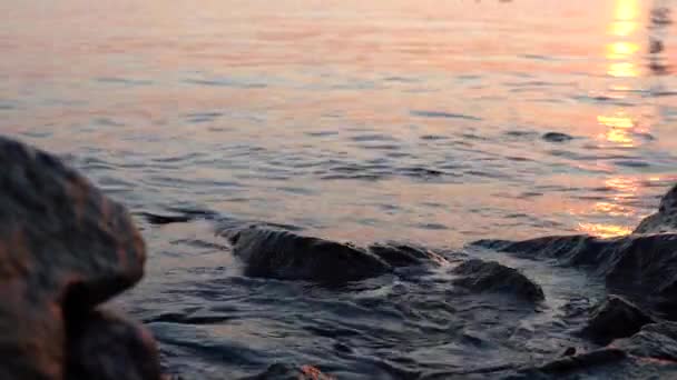 Video Onde Del Mare Battono Rocce Vicino Alla Riva Tramonto — Video Stock