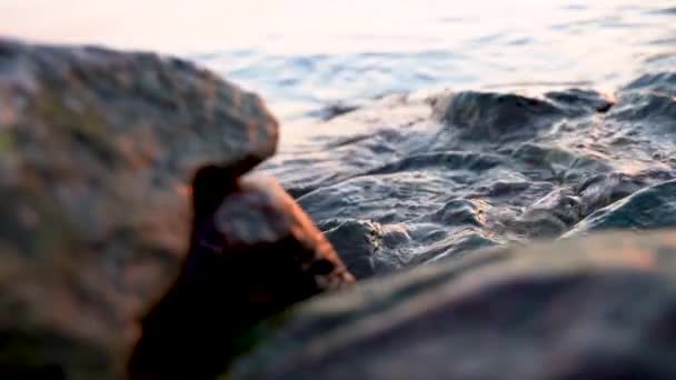 Video Sea Waves Beat Rocks Shore Sunset — Stock video