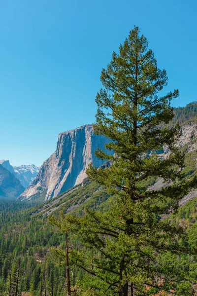 Beautiful Valley Yosemite Park Mountain Landscape Summer — Stock fotografie