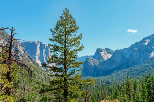 Beautiful Valley Yosemite Park Mountain Landscape Summer — Stock fotografie