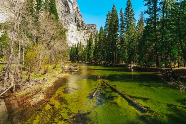 Paisagem Incrível Vista Para Rio Parque Nacional Yosemite Primavera — Fotografia de Stock