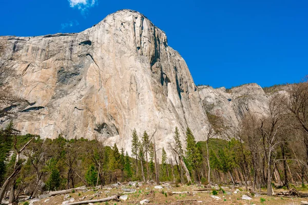 Beautiful Valley Yosemite Park Mountain Landscape Summer — Foto Stock