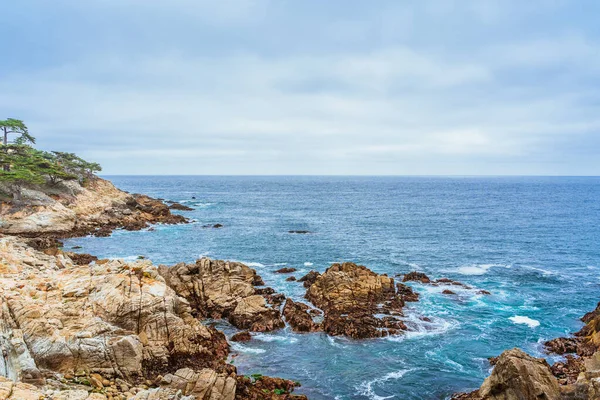 Una Pittoresca Vista Cipresso Solitario Parco Sulla Costa Monterey — Foto Stock