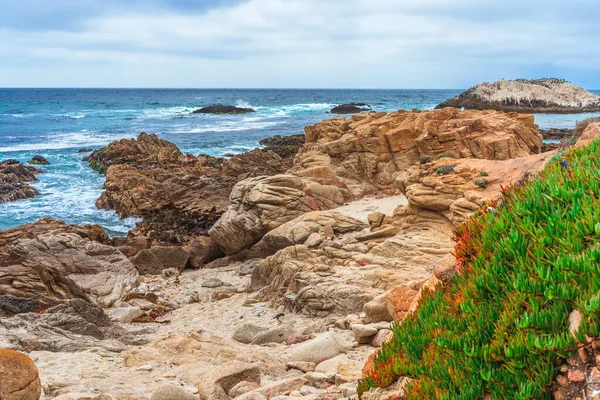 Vista Panorâmica Das Rochas Oceano Pacífico Costa Califórnia — Fotografia de Stock