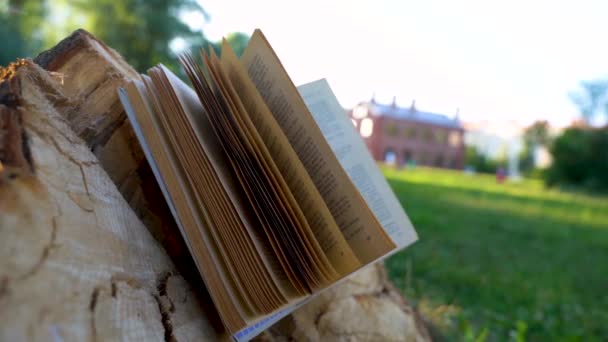 Vídeo Livro Russo Está Deitado Toco Parque Verão Vento Vira — Vídeo de Stock