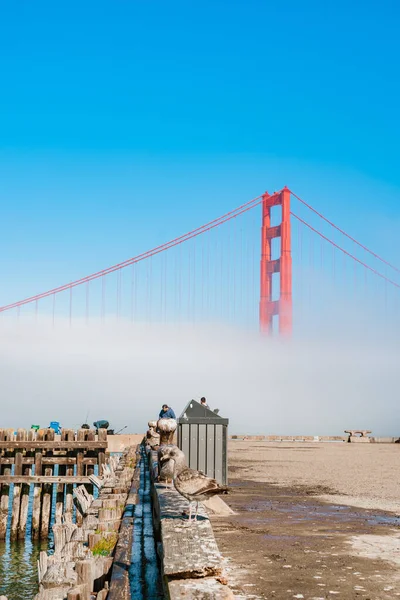 Ponte Golden Gate Nevoeiro Foto Tirada Aterro São Francisco — Fotografia de Stock