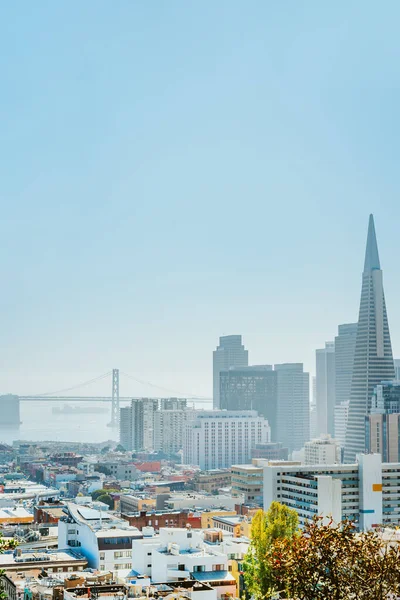 Panorama City San Francisco High Hill View Downtown Transamerica Tower — Stock fotografie