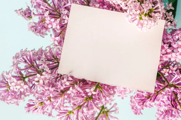 Beautiful Floral Composition Empty Paper Notepad Text Floral Spring Background — Zdjęcie stockowe