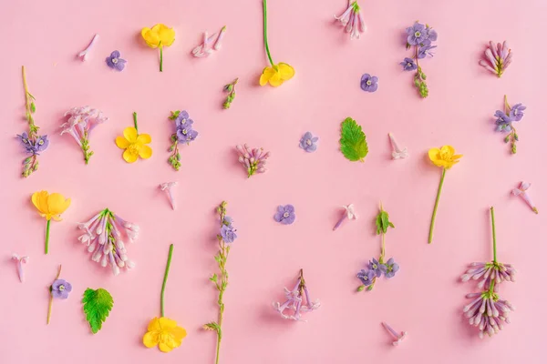 분홍색 배경에는 색깔의 꽃들로 이루어진 꽃들이 만납니다 평평하게 위에서 바라본 — 스톡 사진